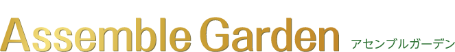 logo.png