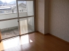 P1100548.JPG