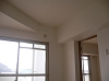 P1100550.JPG